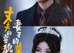 短剧《丈夫的容貌妻子的荣耀（60集）》高分短剧免费全集看