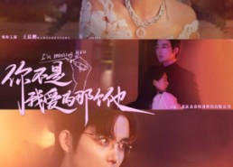 短剧《你不是我爱的那个他（54集）》短剧超清全集在线畅享