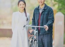 短剧《似火流年（100集）》精彩短剧在线畅享观