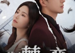 短剧《荆棘之恋（60集）》精彩短剧全集在线赏