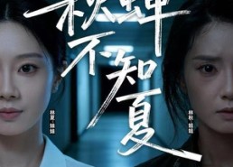 短剧《秋蝉不知夏（50集）》免费短剧全集随心看