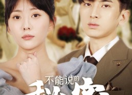 短剧《不能说的秘密（72集）》优质短剧免费全集速看