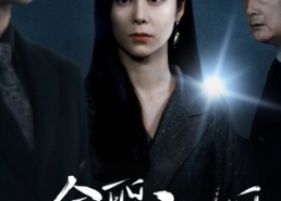 短剧《全职主妇的华丽转身（52集）》免费短剧完整版速看