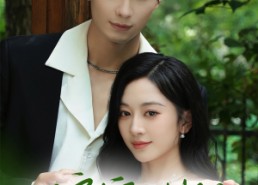 短剧《偏宠法则（80集）》精彩短剧免费全集览