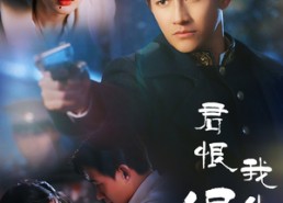 短剧《君恨我生迟（60集）》优质短剧全集在线播放