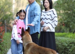 短剧《养狗应有道（60集）》短剧完整版免费播放