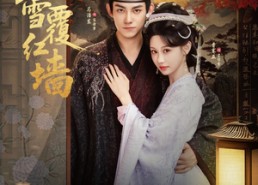 短剧《春雪覆红墙（84集）》超长短剧全集免费赏