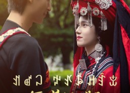 短剧《阿依莫我娶定你了（55集）》热门短剧全集免费看