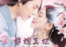 短剧《替嫁王妃不好惹（42集）》精彩短剧免费连播