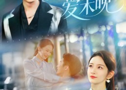 短剧《月入星河爱未晚（65集）》超火短剧在线畅享