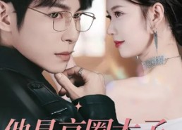 短剧《他是京圈太子更是老婆奴（80集）》短剧高清全集在线观