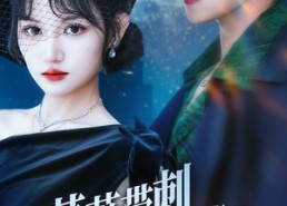 短剧《蔷薇带刺又撩人（70集）》精彩短剧在线免费畅享