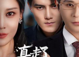 短剧《真走了你又要复婚（60集）》短剧高清全集在线赏