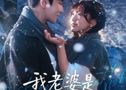 短剧《我老婆是偏执女反派（50集）》短剧全集免费高清观看