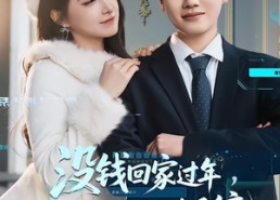 短剧《没钱回家过年，我激活零元购系统（80集）》免费短剧全集在线赏