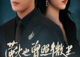 短剧《萤火也曾照微尘（63集）》超清短剧免费全集看