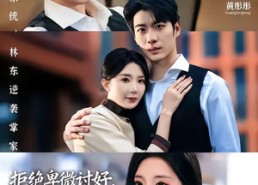 短剧《拒绝卑微讨好，反被大小姐全家宠上天（90集）》优质短剧免费在线观看