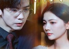 短剧《只待千帆尽（40集）》超清短剧全集免费看