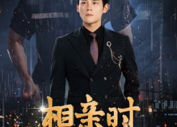 短剧《相亲时我决定继承家业（99集）》短剧免费全集在线畅观