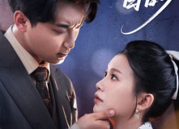 短剧《他和我结婚的目的（53集）》短剧完整版免费播放