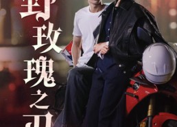 短剧《野玫瑰之刃（96集）》爆款短剧免费全集收看