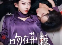 短剧《吻在荆棘之上（52集）》精彩短剧免费全集速览