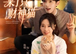 短剧《我家来了只财神猫（80集）》短剧免费高清全集观看