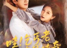 短剧《哇乞丐老婆是传奇（61集）》短剧高清全集免费看