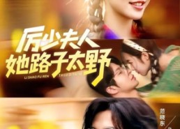 短剧《厉少夫人她路子太野（64集）》精彩短剧免费尽情看