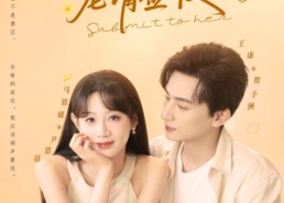 短剧《贺少您的偏宠请签收（90集）》短剧完整版免费观赏