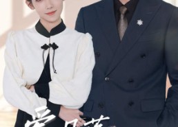 短剧《原来你还在这里（69集）》精彩短剧全集免费观瞧