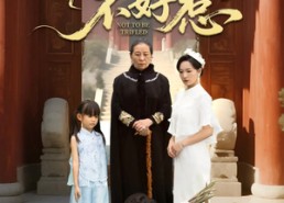 短剧《奶奶一脚震全城（64集）》超燃短剧免费全集畅看