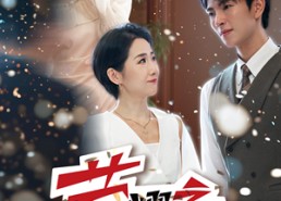 短剧《荣耀之下（46集）》短剧完整免费在线看