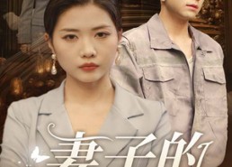 短剧《妻子的伪装（30集）》短剧免费全集在线追看