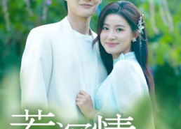 短剧《若深情错付（60集）》高清短剧免费在线播