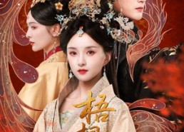 短剧《梧桐引（70集）》短剧免费全集在线畅享