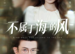 短剧《不属于海的风（40集）》超清短剧全集免费播放