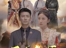 短剧《至尊傻婿（82集）》免费短剧全集高清播放