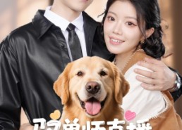 短剧《驭兽师直播听动物心声吃瓜破案（73集）》精彩短剧全集免费看