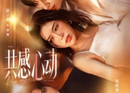 短剧《共感心动（66集）》短剧全集高清免费播