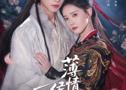 短剧《薄情侯爷痴情妾（80集）》短剧佳作在线免费观