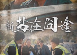 短剧《盐在囧途（46集）》短剧免费完整版在线享