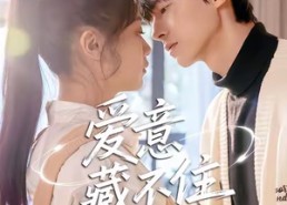 短剧《爱意藏不住（24集）》热门短剧在线高清看