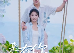 短剧《来有你的地方（60集）》短剧免费无阻畅享观