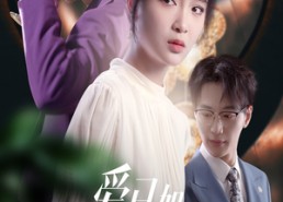 短剧《爱已如明日黄花（60集）》热门短剧无删减观看