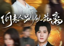 短剧《何意人别似花离（61集）》短剧完整版免费在线看