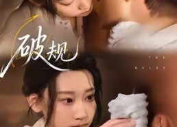 短剧《破规（80集）》精彩短剧全集免费观