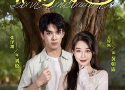 短剧《不期而遇（62集）》短剧全集免费在线乐看