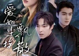 短剧《爱如尘埃飘散（64集）》短剧免费全集一键看