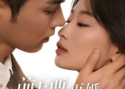 短剧《前夫要再婚，我可不是当年乖乖女（62集）》热门短剧在线完整播放